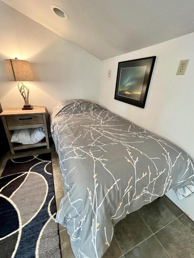 Denali King Suite With Amazing Views ヒーリー エクステリア 写真